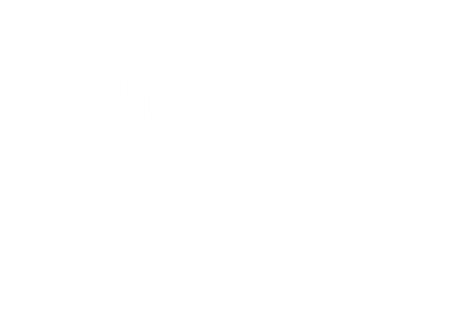 PaNDiN-Logo