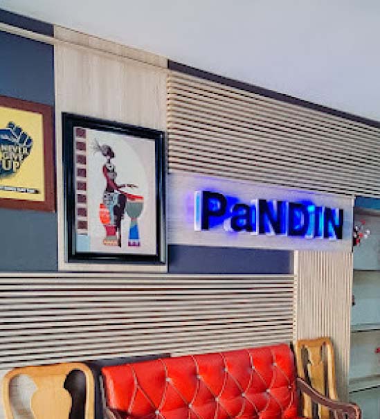 About PaNDiN Group